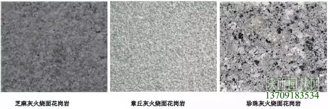 微信图片_20190304101013