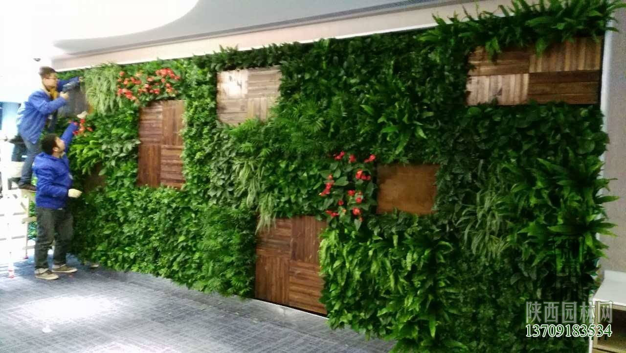 室外墙面绿化——“植物墙绿化”