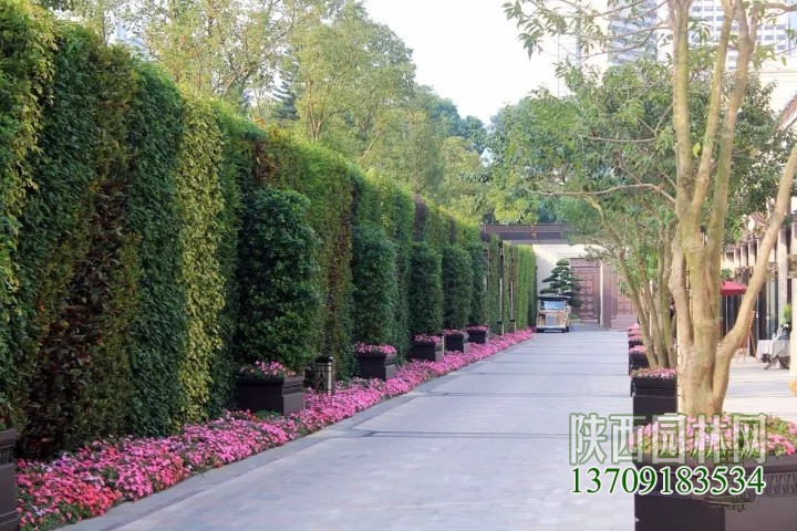 塑料花草装饰绿植墙价格