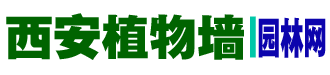 陕西源景园林有限公司|西安植物墙制作